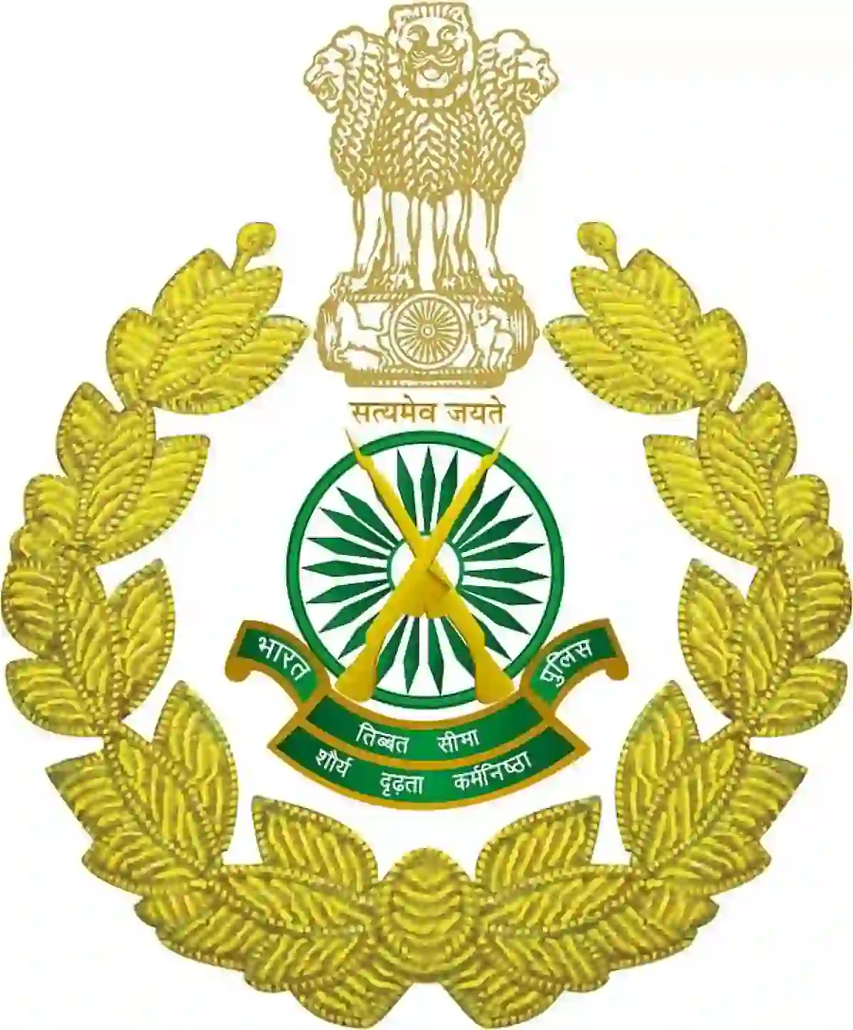 इंडो-तिबेट सीमा पोलीस दल अंतर्गत 282 रिक्त पदाची भरती, लाखांवर मिळेल पगार !! | ITBP Recruitment 2026