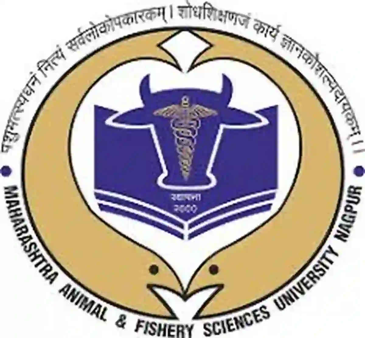 महाराष्ट्र पशू आणि मत्स्य विज्ञान विद्यापीठ नागपूर अंतर्गत 06 रिक्त पदांची भरती !! | MAFSU Nagpur Recruitemnt 2026