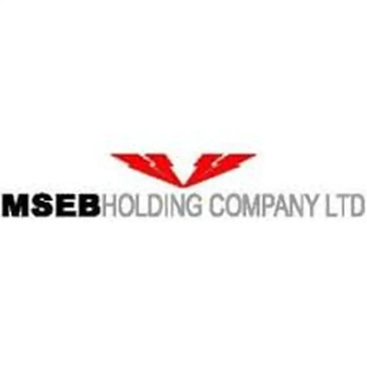महाराष्ट्र राज्य विद्युत मंडळ होल्डिंग कंपनी लि (MSEB) अंतर्गत 03 रिक्त पदाकरिता अर्ज सुरु नवीन भरती जाहिरात प्रकाशित!। MSEB Bharti 2026