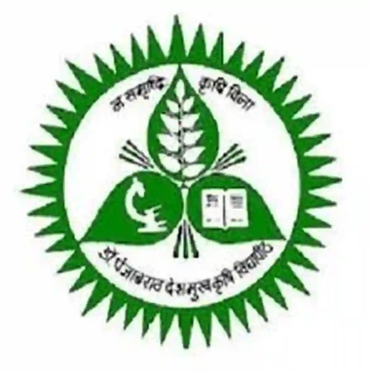 कृषी महाविद्यालय चंद्रपूर अंतर्गत नवीन भरती जाहिरात प्रकाशित!!। College Of Agriculture Chandrapur Recruitment 2026