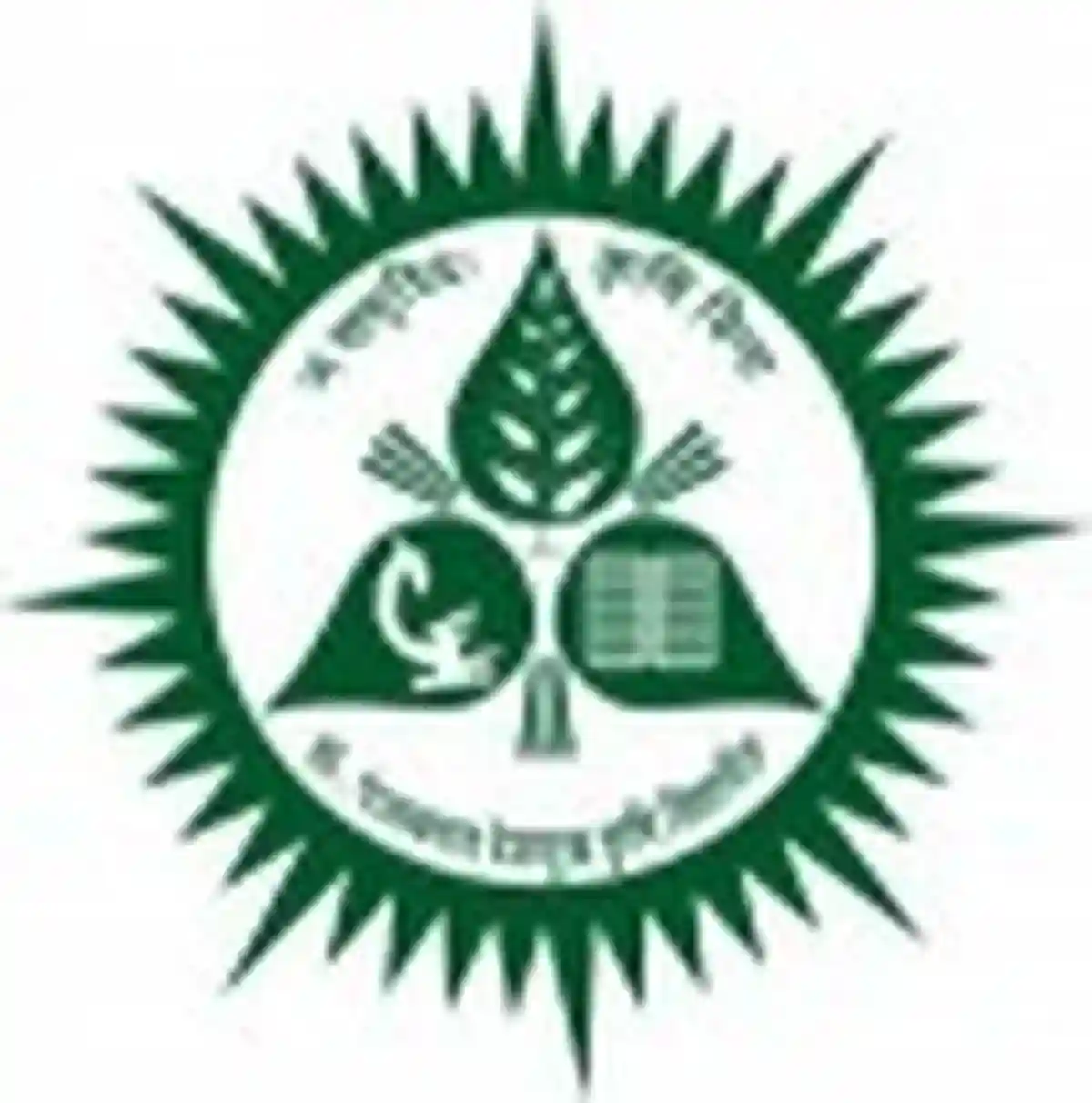 कॉलेज ऑफ फूड टेक्नॉलॉजी यवतमाळ अंतर्गत 12 पदांसाठी ऑफलाईन अर्ज करा | College Of Food Technology Yavatmal Bharti 2026