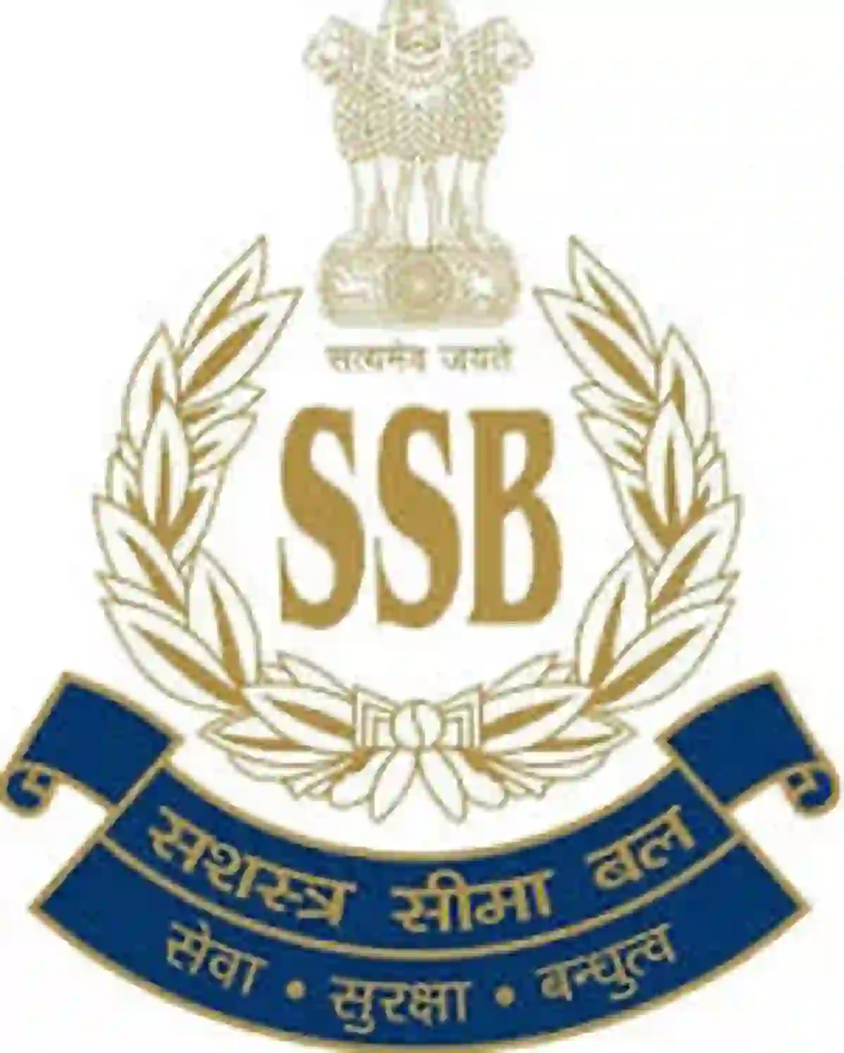 SSB परीक्षार्थींसाठी मोठी बातमी! 19 ते 26 ऑक्टोबरदरम्यान मोफत प्रशिक्षण; निवास व भोजनाचीही सुविधा !! । SSB Recruitment 2026