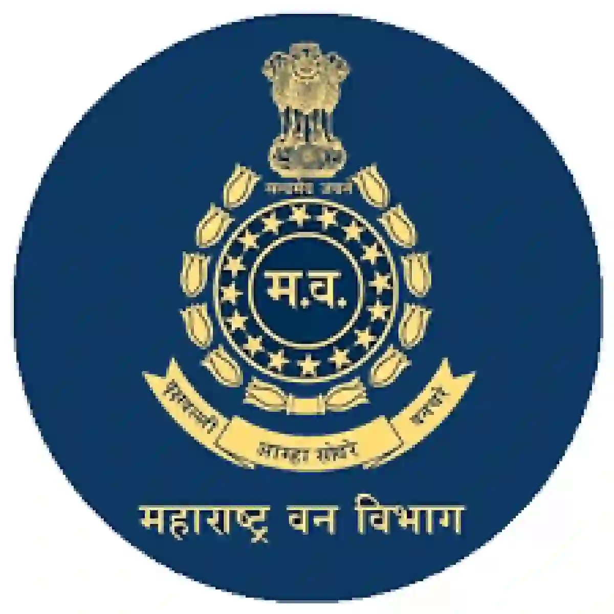 वन विभागातील ९३७ पदांना मुदतवाढ; वनीकरणाच्या कामांना मिळणार वेग!- Maharashtra Van Vibhag Bharti 2026