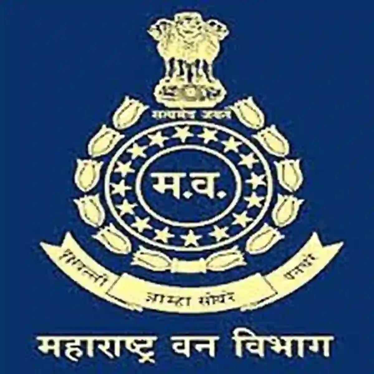 वन विभाग वनसेवक कंत्राटी भरतीची जाहिरात कधी येणार, उमेदवारांना प्रतीक्षा! – MahaForest Bharti 2026