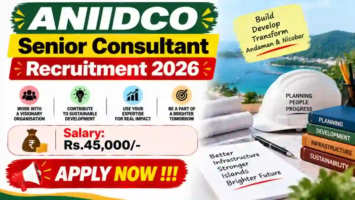 ANIIDCO Senior Consultant Recruitment 2026 - Apply Offline