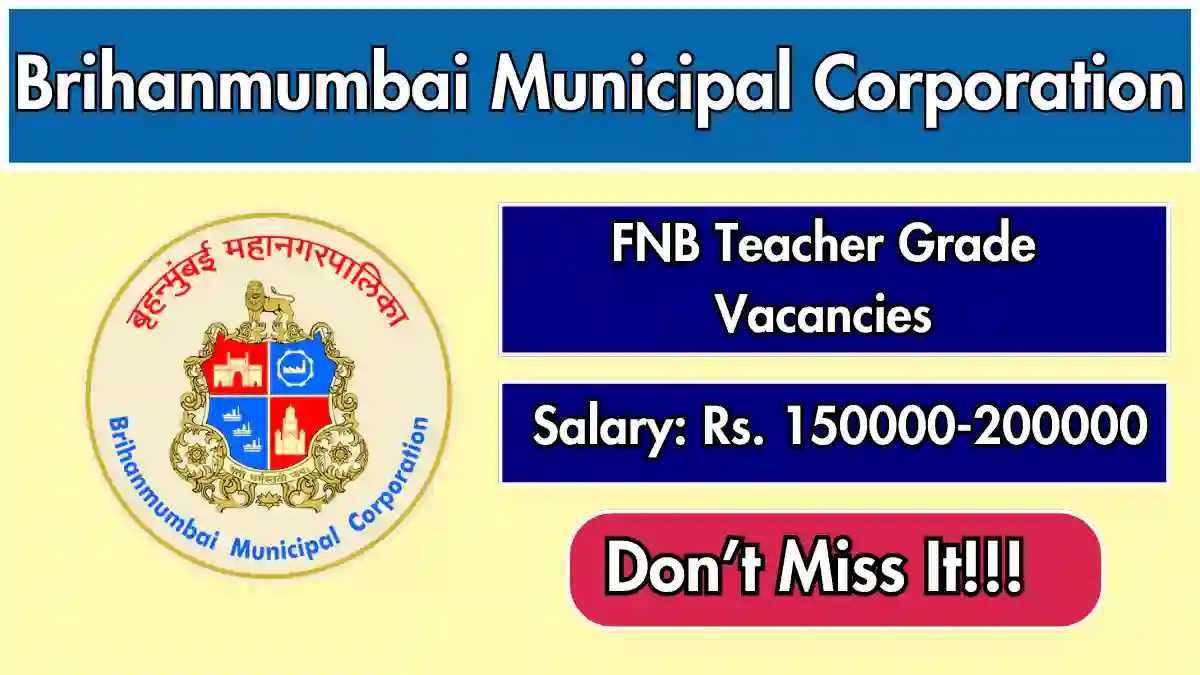 BMC FNB Teacher Recruitment 2026 – Apply Offline for Senior Consultant, Junior Consultant Posts
