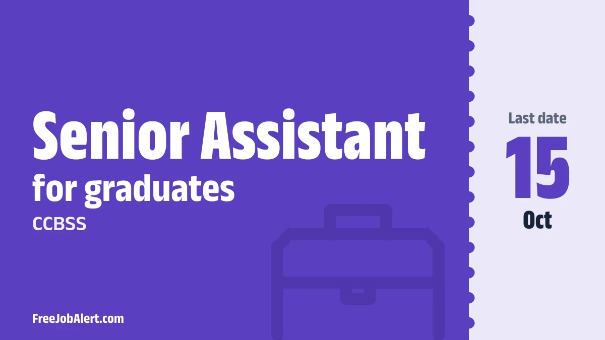 CCBSS Senior Assistant Recruitment 2026 – Apply Offline
