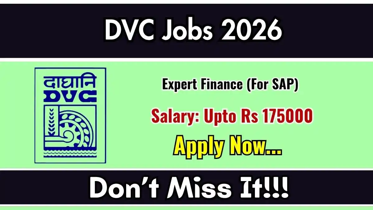 DVC Expert Finance Recruitment 2026 - Apply Online
