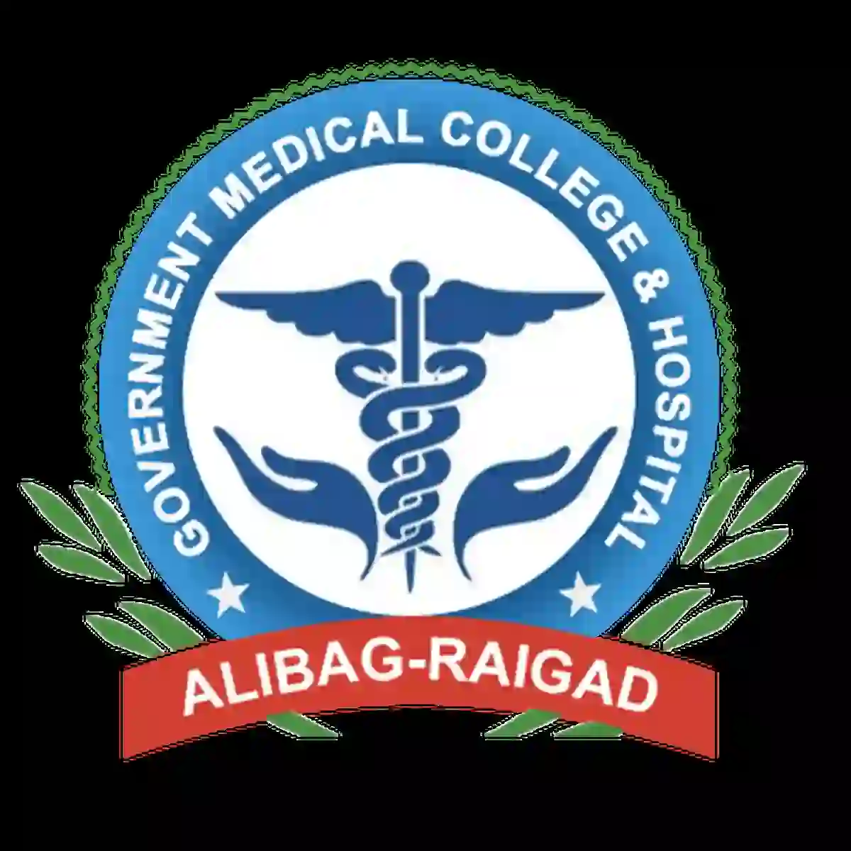 शासकीय वैद्यकिय महाविद्यालय (GMC) रायगड अंतर्गत 12 पदांची भरती !! | GMC Raigad Recruitment 2026
