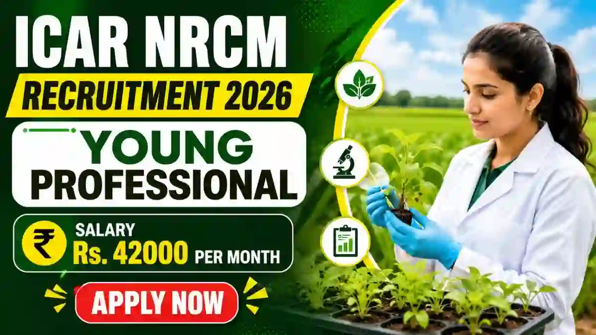 ICAR NRCM Young Professional II Recruitment 2026 - Walkin ICAR NRCM Young Professional II Recruitment 2026 - Walkin