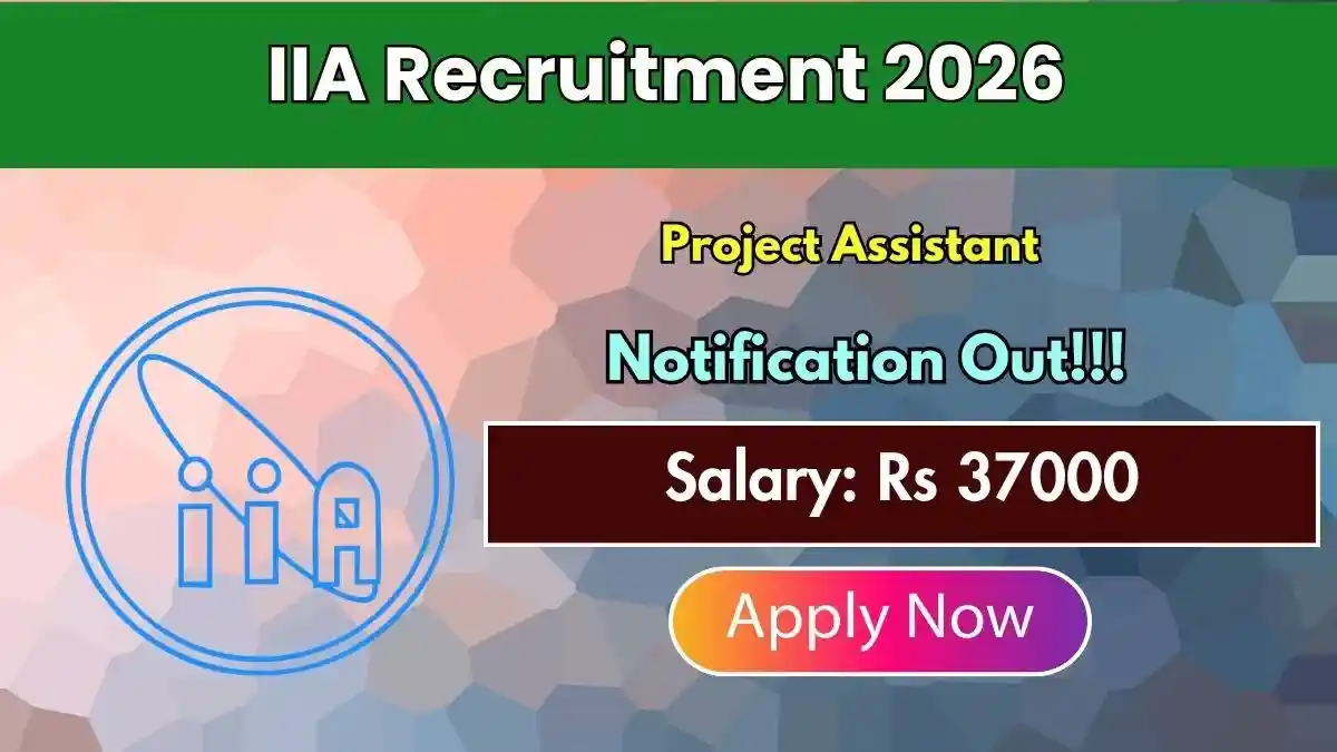 IIA Project Assistant Recruitment 2026 - Walkin
