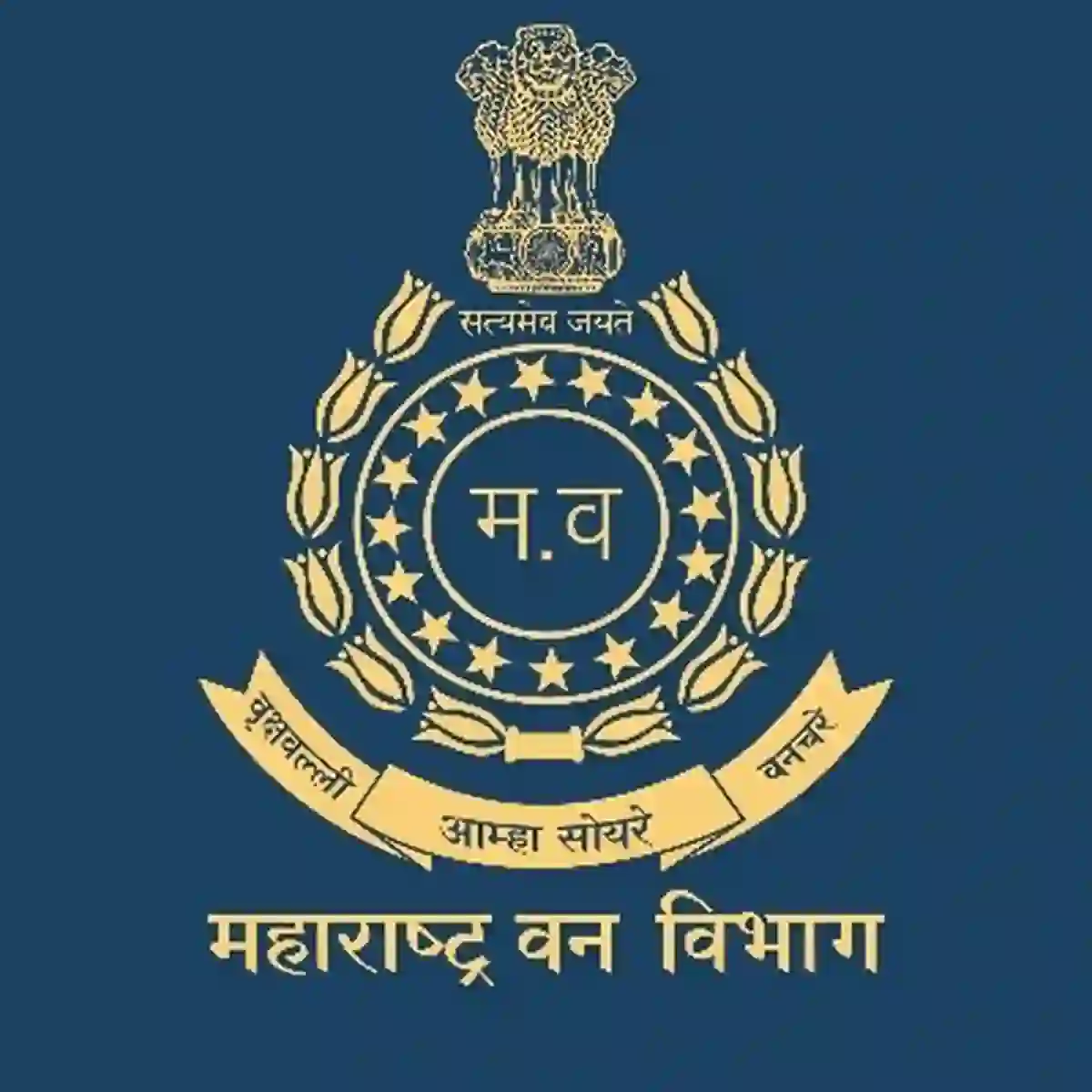 ब्रह्मपुरी वन विभाग चंद्रपूर अंतर्गत “पशुवैद्यकीय अधिकारी” पदांकरिता भरती; येथे बघा संपूर्ण माहिती!! | Bramhapuri Forest Division Bharti 2026