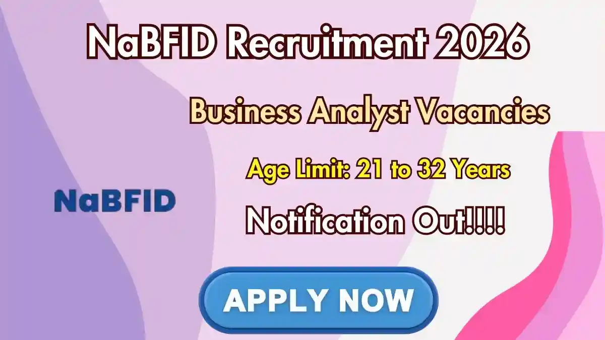 NaBFID Business Analyst Recruitment 2026 - Apply Online