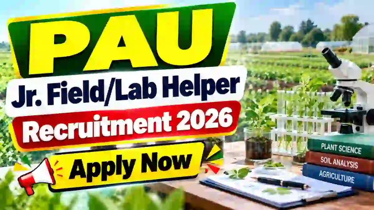 PAU Jr. Field/ Lab Helper Recruitment 2026 - Apply Offline