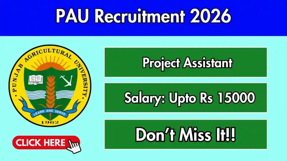 PAU Project Assistant Recruitment 2026 - Apply Offline PAU Project Assistant Recruitment 2026 - Apply Offline
