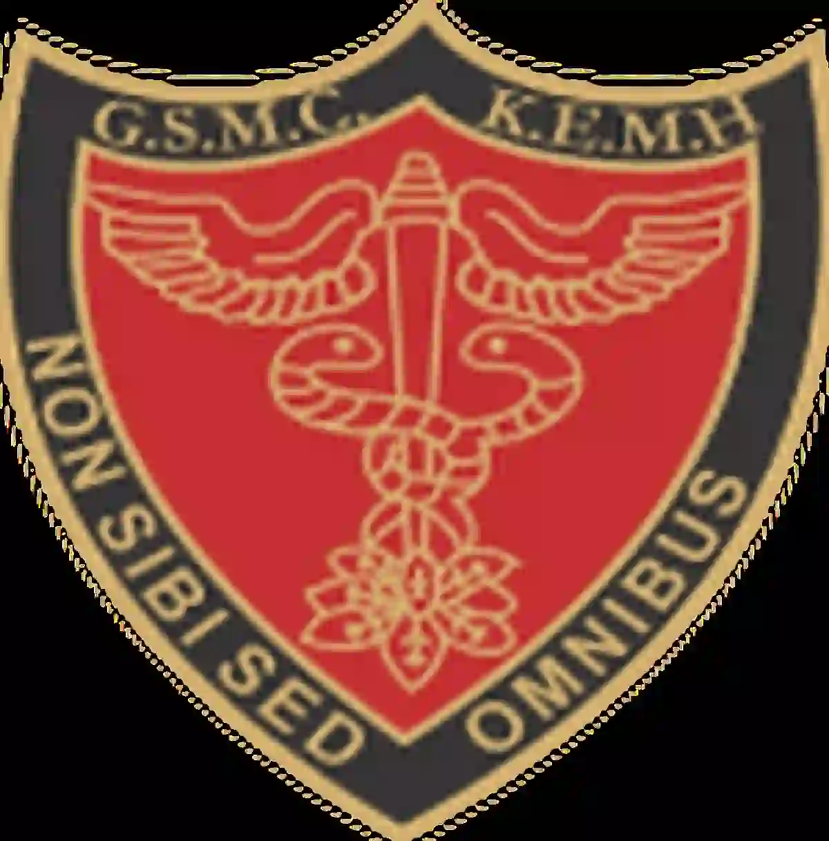 केईएम हॉस्पिटल, मुंबई अंतर्गत 03 पदांकरीता जाहिरात प्रकाशित!! | KEM Hospital Mumbai Recruitment 2026