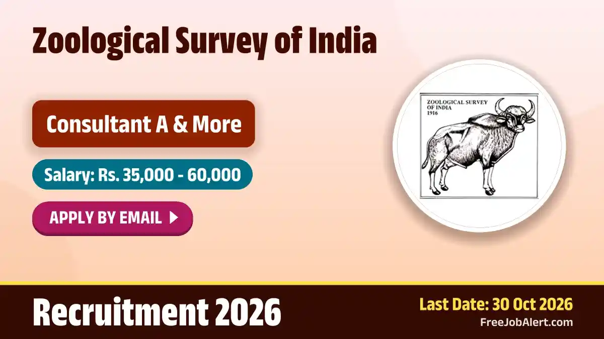 ZSI Recruitment 2026 – Apply Online for 3 Consultant A, Project Associate Posts ZSI Recruitment 2026 – Apply Online for 3 Consultant A, Project Associate Posts